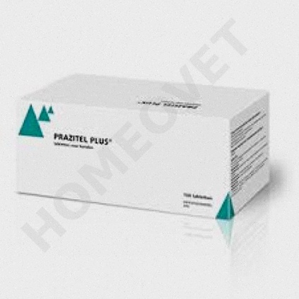 Praziquantel Bestellen Generika Apotheke